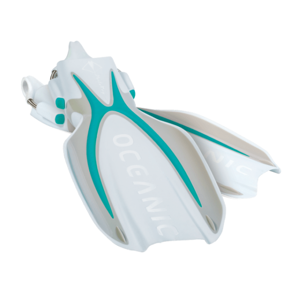 MANTA RAY