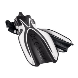 mantaray_blackwhite_group_web_2-2