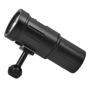 Dragonet2 rk22