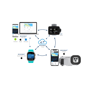 Oceanic ecosystem diagram transparentblue