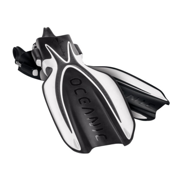 MANTA RAY