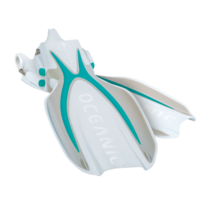 MANTA RAY